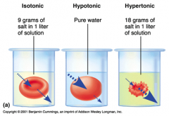 concentration of solution is greater to that of the cell, water leaves cell, cell shrinks