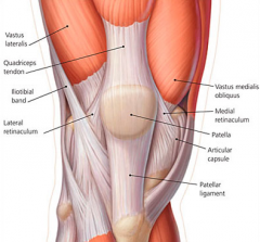 -QUADRICEPS TENDON attaches to patella superiorly and continues distally as patella ligament to the tibial tuberosity


-VASTUS MEDIALIS tendon forms medial retinaculum


-VSTUS LATERALS forms lateral retinaculum


-ITB attachment on lateral borde...