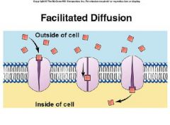 Facilitated diffusion -