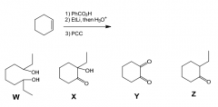 

What is the product of the following multiple step reaction?