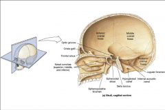 perpendicular projection of bone superior to ethmoid