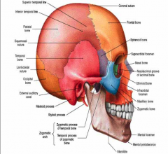 Articulates with zygomatic process of temporal bone