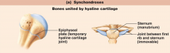 Bone-to-bone joint
Hyaline cartilage unites bones
Virtually all are synathrotic (immoveable)
E.g. epiphyseal plates
Are temporary joints - become synostoses (ossified, completely fused)