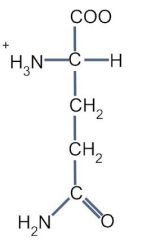 Carboxamide
Hydrophilic
Uncharged