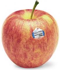 Apples - Gala

Organic