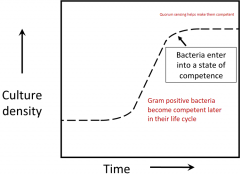Gram positive bacteria are regulated by growth phase to enter state of competence

They become competent later in their life cycle

Quorum sensing can help them be competent