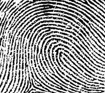 Name the type of fingerprint pattern shown: (right hand)