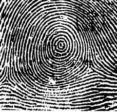 Name the type of fingerprint pattern shown: