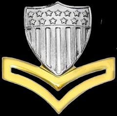 Petty Officer Second Class - PO2
ZERO TWO gold chevrons, and a silver shield.
