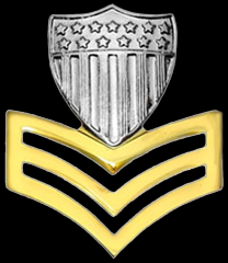 Petty Officer First Class - PO1
ZERO THREE gold chevrons, and a silver shield.
