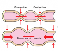 Type of small intestine motility that mixes contractions.