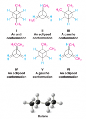 - results from steric hindrance between terminal methyl groups and H atoms at C-2 and C-3


- also from steric hindrance directly between the 2 methyl groups