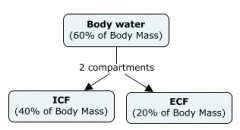 = 40% of Body Mass