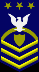 Master Chief Petty Officer of the Coast Guard E-9
ZERO ONE gold rocker, ZERO THREE gold chevrons, a gold shield, a white eagle, and ZERO THREE gold stars on a field of blue.