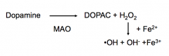 MAO Inhibitor will increase the amount of DA and decrease oxidative stress on the neuron (potentially protective?)
