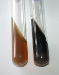 Right: Black agar = 
Bile Esculin +

Left: Unchanged Agar = 
Bile Esculin - 