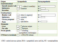 Activities of the SNS and PSNS - name the R or fxn! (2/2)