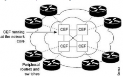 What is CEF?