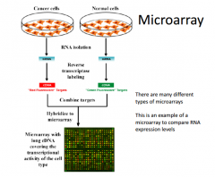 Microarray