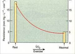 what caused the resistance to exponentially decrease during max ex?