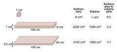 Surface area : volume ratio