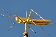 Whose symbol is the Grasshopper ?