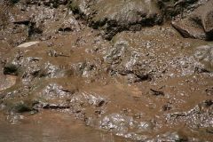 Il limo, un fango ricco di sostanze nutritive che restava sul terreno dopo le inondazioni dei fiumi.