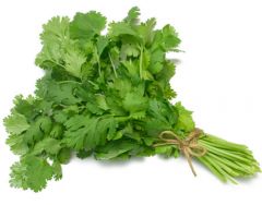 Cilantro (leaves are not pointy)