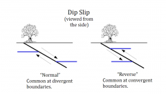 Normal:common at divergent boundaries.

Reverse: Common at convergent boundaries.