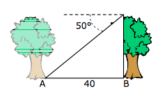 Two trees face each other separated by a distance of 40 m. As seen from the top of the second tree, the angle of depression to the first tree's base is 50°. Find the height of the second tree in meters.