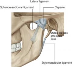 Temporomandibular ligament (TM)


stylomandibular ligament


sphenomandibular ligament