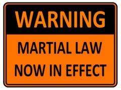martial law (Army)