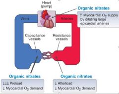 "Organic nitrates
–     Predominantly dilates veins @ therapeutic doses
–     Thus↓ preload = ↓  myocardial O2 demand
–     Arterial dilation = ↓  systemic vascular resistance = ↓afterload   =  ↓ myocardial O2 demand
"