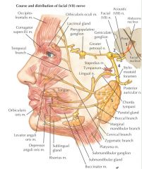 1. Intrapontine lesions: 
Peripheral motor facial paralysis associated with eye movement abnormalities (ipsilateral abducens or horizontal gaze palsies) and contralateral motor paralysis. 

2. Intracranial and/or internal auditory meatus: 
All ...