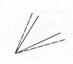 (Solid = real acute angle)
(Dashed = what looks like) 

Lateral inhibition, line produce some form of inhibitory field that tends to push them apart 