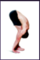 Forward fold knees bent 
(uttanasana): 
25 sec

				
			
		
	
