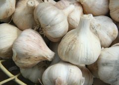 Garlic (Loose)
