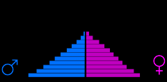 A bar graph that represents the distribution of a population by age and sex.