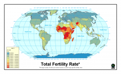 The average number of children a woman will have throughout her childbearing years.