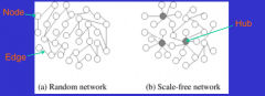 1. Random Network


- Individual nodes do not typically join others


2. Scale-free Network


- Hubs connected to several nodes


- Higher rates of infection rates due to high standard deviation


 


Effective Average = Overall Average + SD