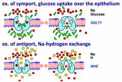 Symport:
Moves another molecule uphill from low concentration to high concentration (against its concentration gradient). Both molecules are transported in the same direction. e.g. glucose uptake.

Antiport:  
Two species of ion or other sol...