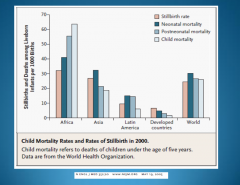 What factors explain these international differences in perinatal mortality?