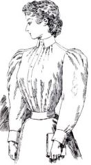 blouses (waists) worn with gored skirts
