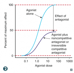 Cannot be overcome by increasing agonist substrate concentration