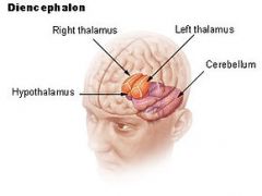 c. hypothalamus

Precocious puberty is the appearance of signs of pubertal development at an abnormally early age. In girls this has traditionally been considered to be 8 years, although guidelines from the USA have recommended that puberty be c...