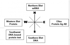 DNA-bound protein test