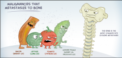 #1 Lung
#2 Liver
#3 Bone

BLT: Bacon = breast, Lettuce = Lung, Tomato = thyroid, Kosher Pickle = Kidney and prostate.