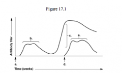 InFigure 17.1, which letter on the graph indicates the patient's secondaryresponse to an antigen? 
 A)a 
 B)b
 C)c 
 D)d 
 E)e