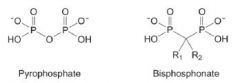 Note that the P-O-P structure of pyrophosphate is replaced with a P-C-P structure in bisphosphonate.