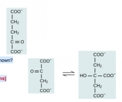 1. Identify the molecule


2. What other substrate of the reaction at right is not shown?